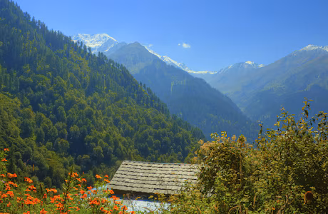 Himachal Retreat